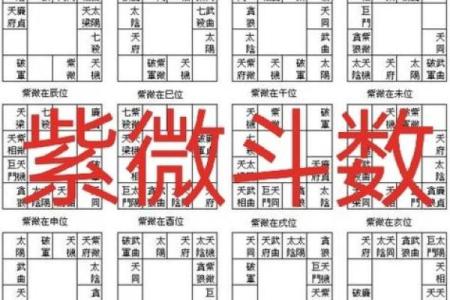 紫薇斗数易学难精