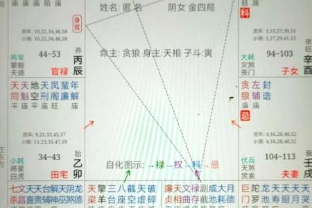 紫薇斗数身宫在哪