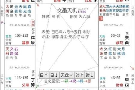 紫薇斗数免费测运势