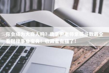 你会成为大商人吗？唐艺尹老师紫薇斗数最全看财禄事业宝典！收藏者有福了！