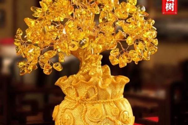 风水口袋放一样东西必定发财指的是什么