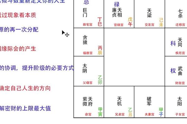 紫微斗数看财力靠自己还是靠别人技法#财富
