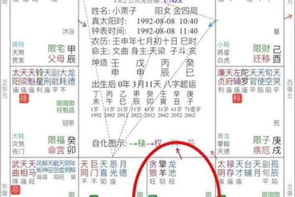 紫薇斗数流年考运