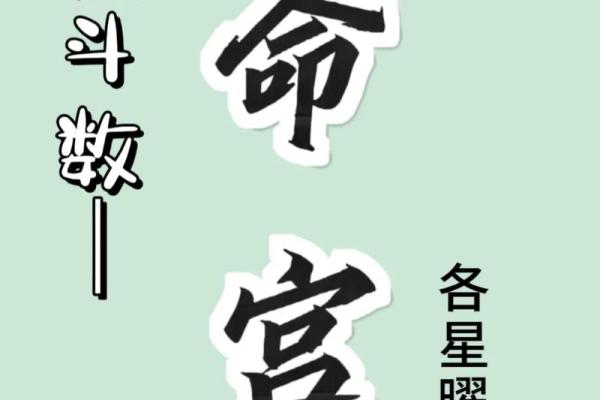 紫薇斗数事业宫有天姚