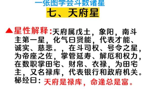 倪海厦紫薇斗数的真实水平