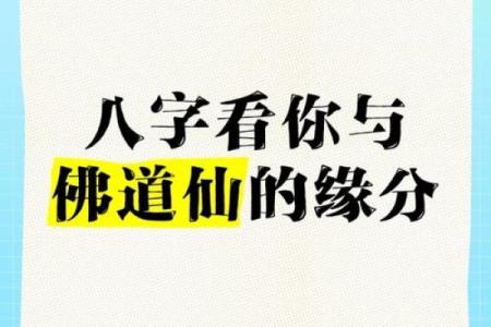 带仙八字