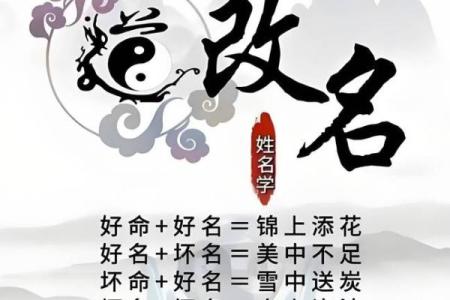 姓伍的名人-姓名学-华易算命网姓名