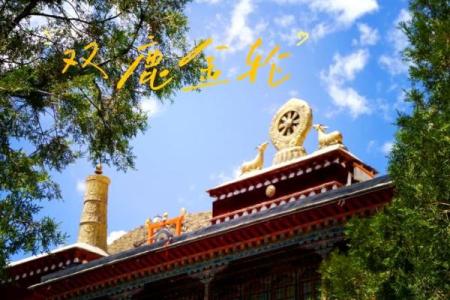拉萨哪些寺庙可以算命看病
