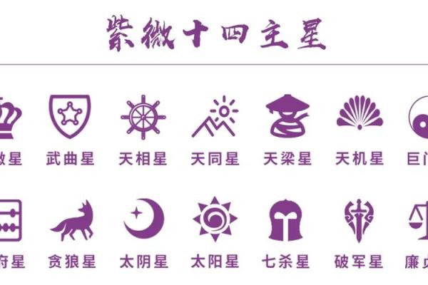 紫薇斗数基本