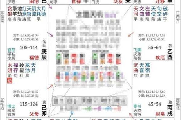 壹年山人紫薇斗数