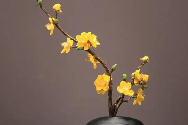 家庭插花 风水