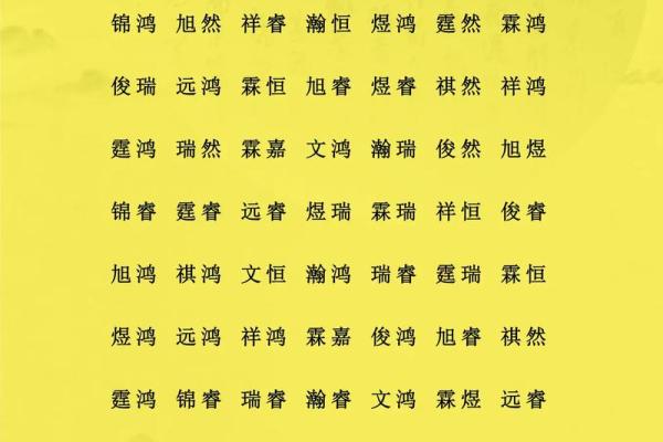 下午2点出生的属鸡男孩要怎么起名，宜用什么字姓名
