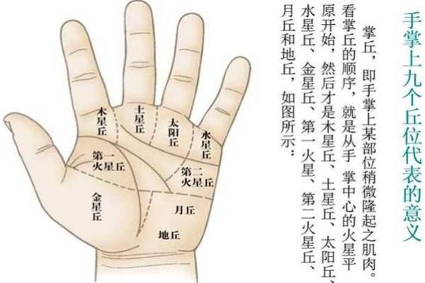 图解：手相土星环算命