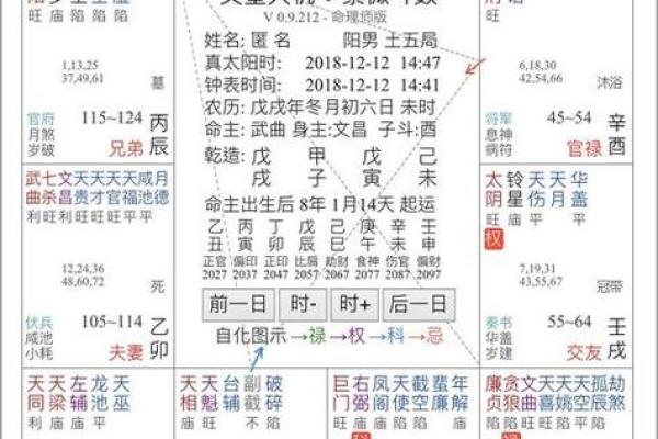 文墨天机紫薇斗数怎么看