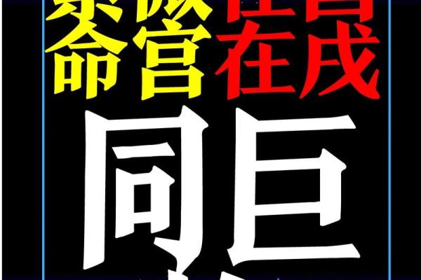 紫薇斗数同缠