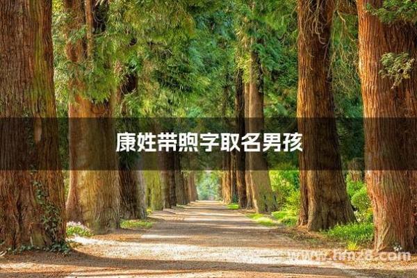 2019年5月12号子时出生的男孩如何起名姓名