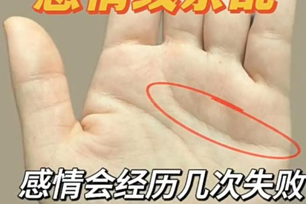 图解：手相中的智慧线算命