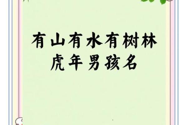早上7点出生的属虎男孩怎么起名，适合什么字姓名