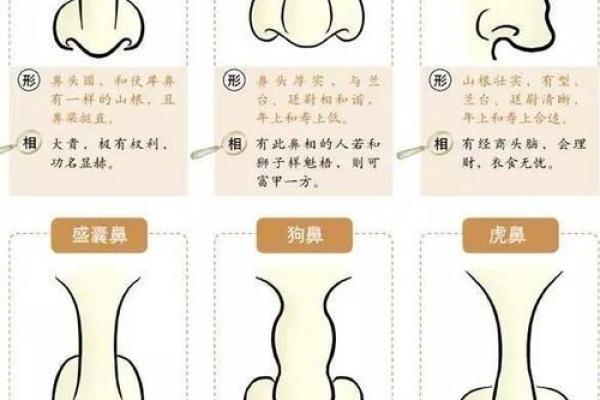 古代看相算命可信吗知乎