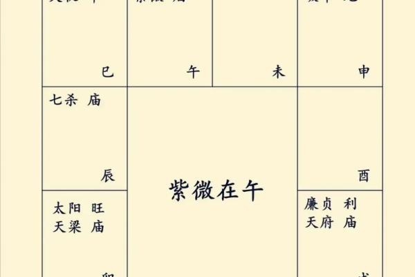 紫薇斗数怎么看有没有孩子