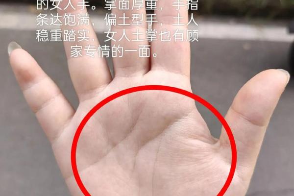 怎样看手纹给自己算命女 手相看你的性格特征