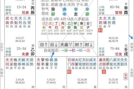 紫微斗数之预测灾厄：　自杀