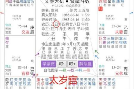 壹年山人紫薇斗数