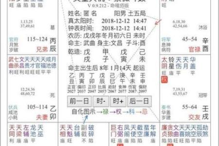 文墨天机紫薇斗数怎么看