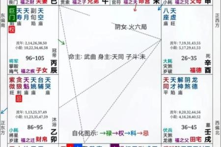 紫微斗数之事业宫与诸星，廉贞星在事业宫是什么意思？