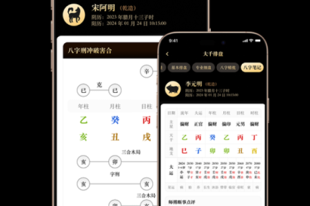 八字反推排盘