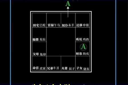 紫薇斗数离心权
