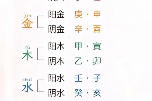查询八字五行