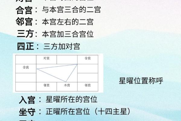 右星紫薇斗数