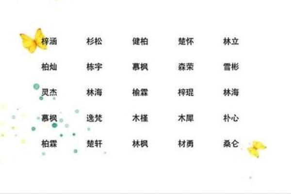 2019年3月31号寅时出生的男孩要怎么起名字姓名
