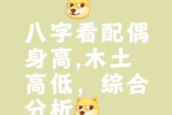 八字命理看配偶,八字免费算命未来配偶
