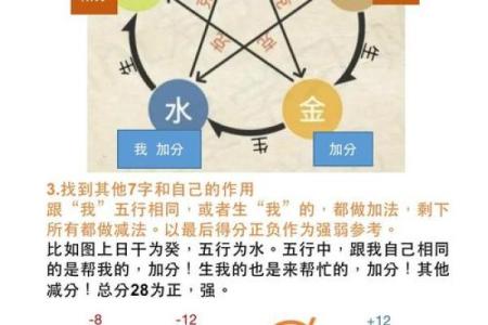 什么是八字软