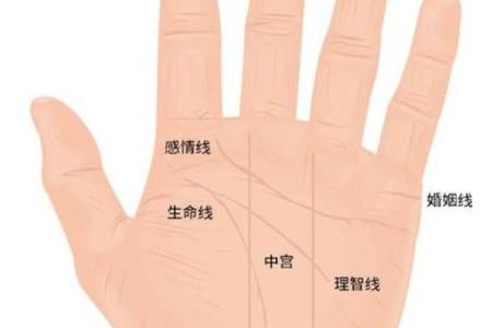 凯帝阿手相算命图解大全02
