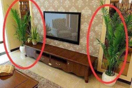 客厅风水，犯禁忌可能越住越穷