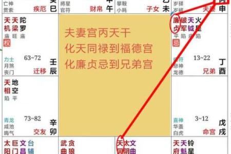 紫薇斗数事业宫详解