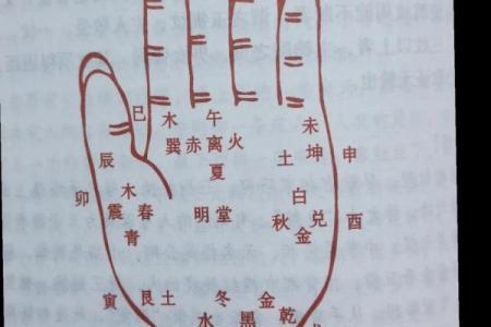 女手相算命图解