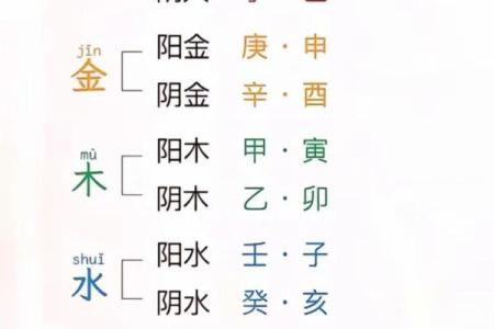 查询八字五行