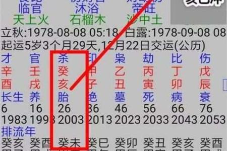 八字结构