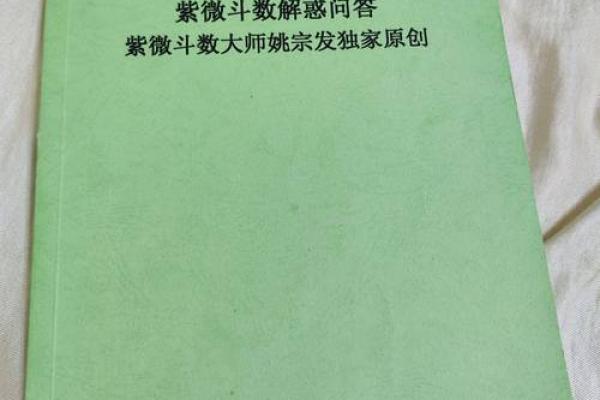 民间紫薇斗数高手