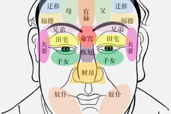算命更高级的人准吗