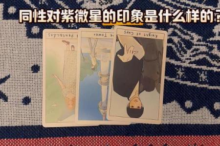 塔罗测试暗恋对象对我的印象