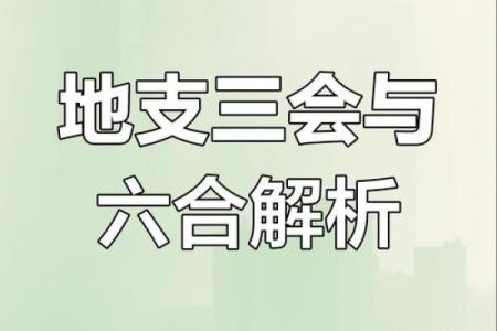 八字地支三会是怎么应用的？