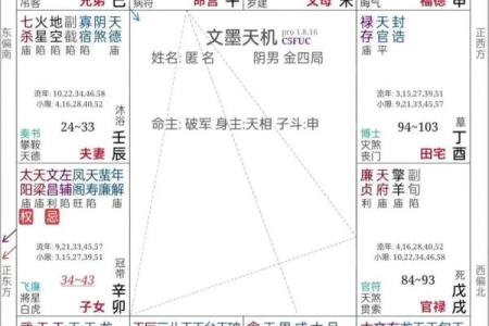 紫薇斗数迁移宫