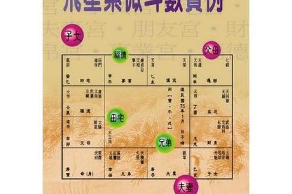 紫微斗数诸星落诸宫之:其它星子女宫详解 紫微斗数诸星落诸宫之:其它星子女宫详解