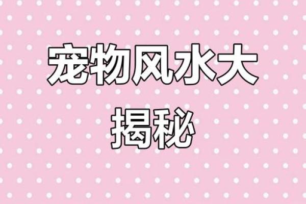 养宠物也是要讲究风水的 养宠物也是要讲究风水的